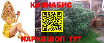 дживик Вышний Волочёк