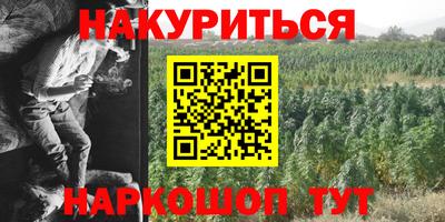 дживик Вышний Волочёк